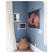 Load image into Gallery viewer, Nirvana series - 'Memento'