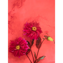 Load image into Gallery viewer, Ophelia series - 'Acid Garden'