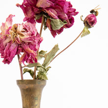 Load image into Gallery viewer, SALE Found and Foraged - Bee Charm