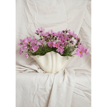 Load image into Gallery viewer, Cosmos Kiss