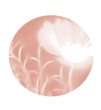 Load image into Gallery viewer, Lumen Print - Cosmos