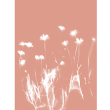 Load image into Gallery viewer, Lumen Print - Daisies
