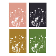 Load image into Gallery viewer, Lumen Print - Daisies