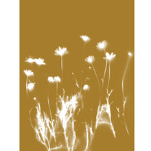 Load image into Gallery viewer, Lumen Print - Daisies