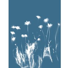 Load image into Gallery viewer, Lumen Print - Daisies