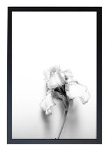 Load image into Gallery viewer, Iris - Black and White