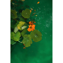 Load image into Gallery viewer, Ophelia series - 'Green Girl'