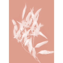 Load image into Gallery viewer, Lumen Print - Gum Leaf