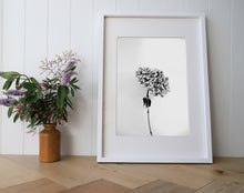 Load image into Gallery viewer, Hydrangea Monochrome