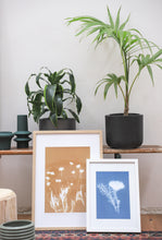 Load image into Gallery viewer, Lumen Print - Daisies