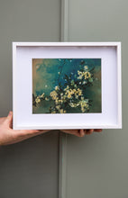 Load image into Gallery viewer, Watercolour Gardens - Underwater Flowers III