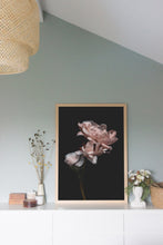 Load image into Gallery viewer, Nirvana series - 'Karma'