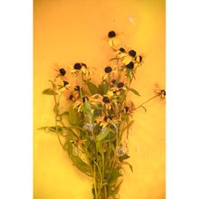 Load image into Gallery viewer, Ophelia series  - Love On Horizon