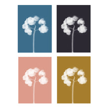 Load image into Gallery viewer, Lumen Print - Hydrangea