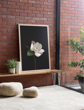 Load image into Gallery viewer, Magnolia - White