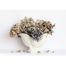 Load image into Gallery viewer, Found and Foraged - Marblewood