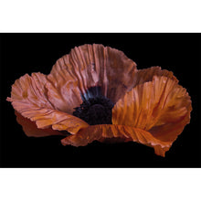 Load image into Gallery viewer, Nirvana series - 'Memento'