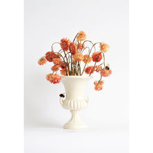 Load image into Gallery viewer, Found and Foraged - Paprika Party