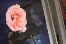 Load image into Gallery viewer, SALE - Rose And Fall