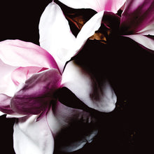 Load image into Gallery viewer, Magnolia - Pink