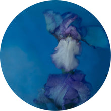 Load image into Gallery viewer, A Little Whisper - 150mm porthole