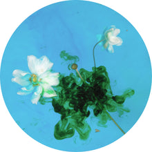 Load image into Gallery viewer, In A Tangle - 270mm Porthole