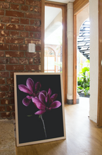 Load image into Gallery viewer, Magnolia - Velvet