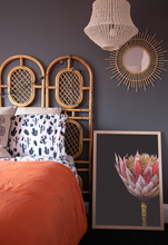 Load image into Gallery viewer, Protea - King