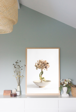 Load image into Gallery viewer, Found and Foraged - Last Dance