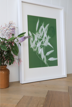 Load image into Gallery viewer, Lumen Print - Gum Leaf