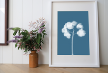 Load image into Gallery viewer, Lumen Print - Hydrangea