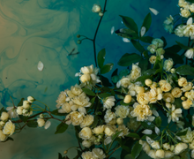 Load image into Gallery viewer, Watercolour Gardens - Underwater Flowers III