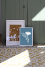 Load image into Gallery viewer, Lumen Print - Cosmos