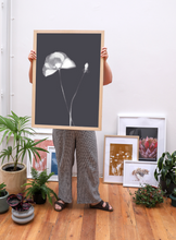Load image into Gallery viewer, Lumen Print - Poppy
