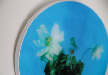 Load image into Gallery viewer, In A Tangle - 270mm Porthole