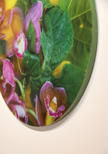 Load image into Gallery viewer, Twist and Shout - 600mm Porthole