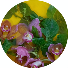 Load image into Gallery viewer, Twist and Shout - 600mm Porthole