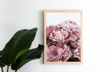 Load image into Gallery viewer, Peony Petals