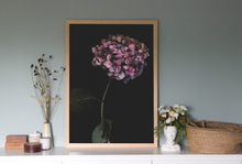 Load image into Gallery viewer, Jardin