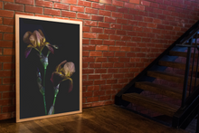 Load image into Gallery viewer, Gemini