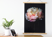 Load image into Gallery viewer, Nirvana series - 'Libra'