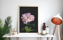 Load image into Gallery viewer, Peony Bloom II