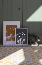 Load image into Gallery viewer, Lumen Print - Daisies