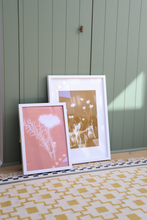 Load image into Gallery viewer, Lumen Print - Cosmos