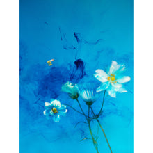 Load image into Gallery viewer, Ophelia series - Sinking Ballad