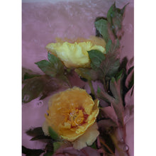 Load image into Gallery viewer, Watercolour Gardens - Sorbet