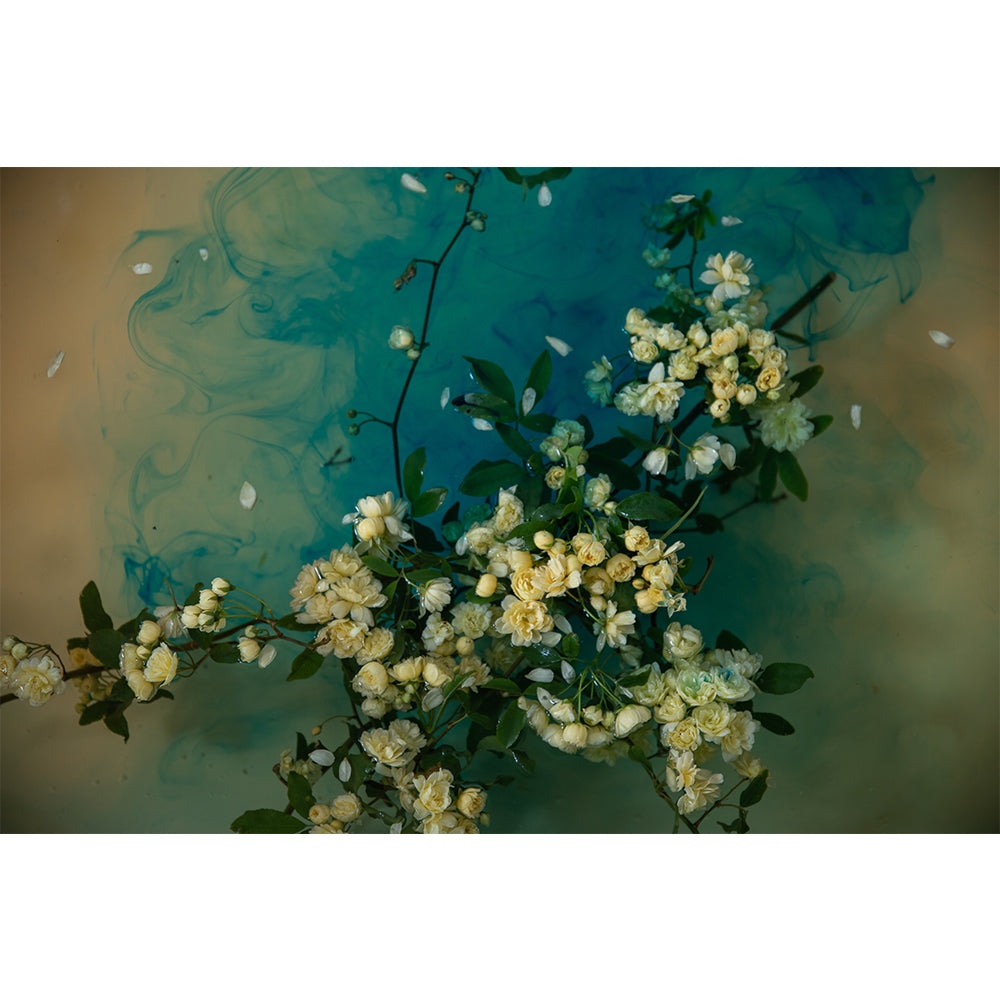Watercolour Gardens  - Underwater Flowers III