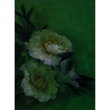 Load image into Gallery viewer, Watercolour Gardens - Underwater Flowers II