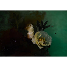 Load image into Gallery viewer, Watercolour Gardens - Underwater Flowers