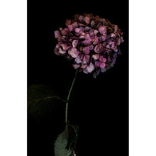 Load image into Gallery viewer, Jardin